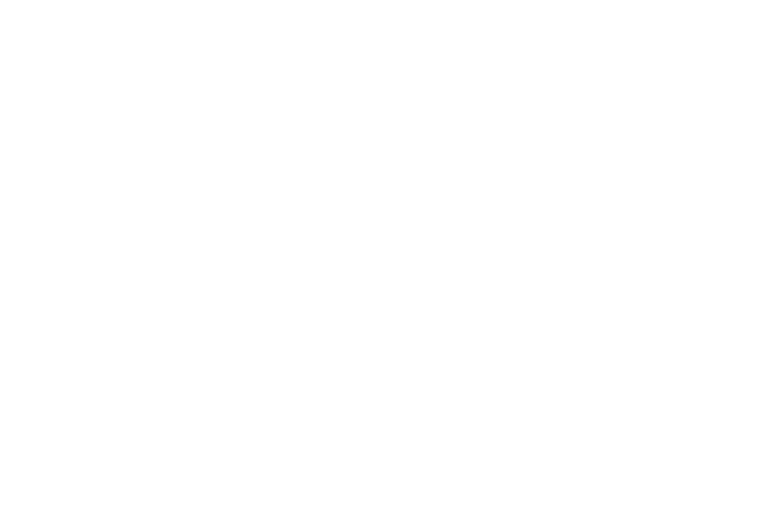 DIAMOND CITY PK17